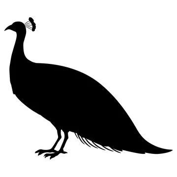 Simple and adorable flat colored Peacock illustration in silhouette Stock Illustration