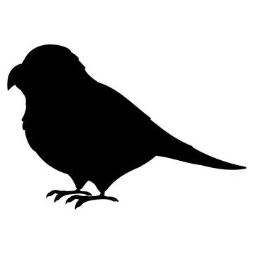 Simple and adorable flat colored Parakeet illustration in silhouette Stock Illustration