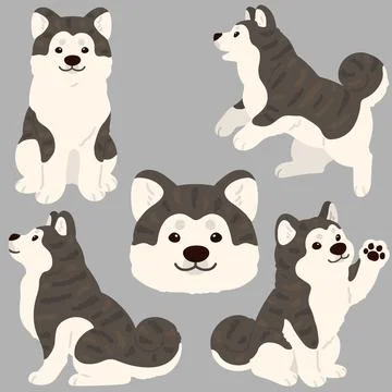 Simple and adorable flat dark colored Akita Dog illustrations Stock Illustration