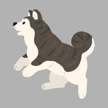 Simple and adorable flat dark colored Akita Dog jumping and playing Stock Illustration