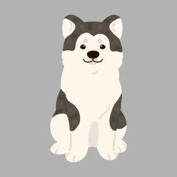 Simple and adorable flat dark colored Akita Dog sitting in front view Stock Illustration
