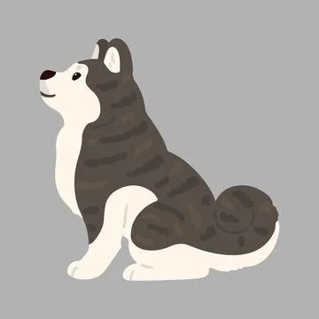 Simple and adorable flat dark colored Akita Dog sitting in side view Stock Illustration