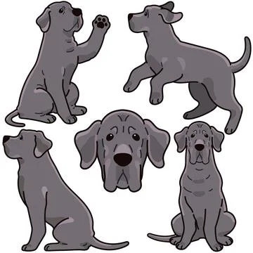 Simple and adorable Great Dane illustrations Stock Illustration