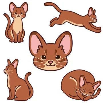 Simple and adorable illustrations of Abyssinian cat outlined Stock Illustration