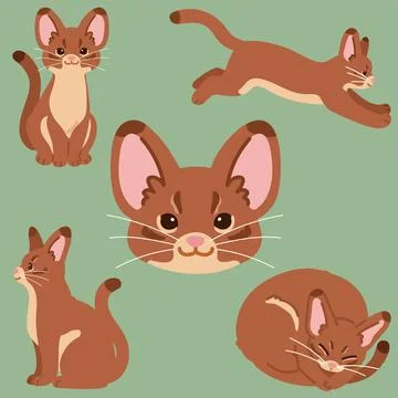 Simple and adorable illustrations of Abyssinian cat flat colored Stock Illustration
