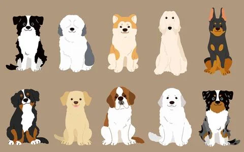 Simple and adorable illustrations of friendly big dogs flat colored Stock Illustration