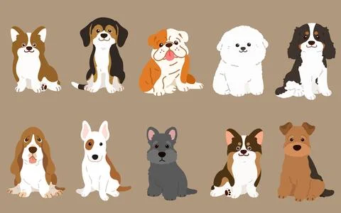 Simple and adorable illustrations of friendly medium sized dogs flat colored Stock Illustration