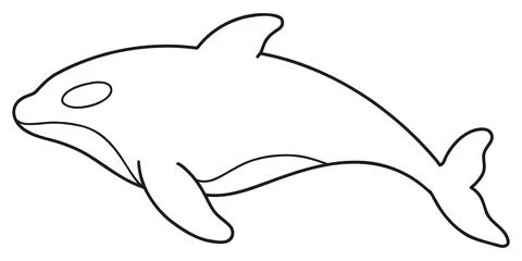 Simple and adorable Killer Whale line art illustration Stock Illustration