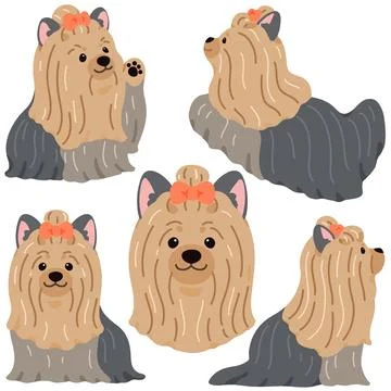 Simple and adorable Long Haired Yorkshire Terrier illustrations flat colored Stock Illustration