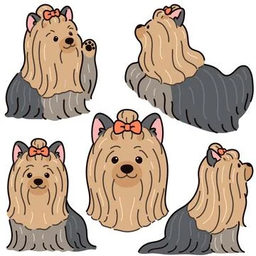Simple and adorable Long Haired Yorkshire Terrier illustrations Stock Illustration