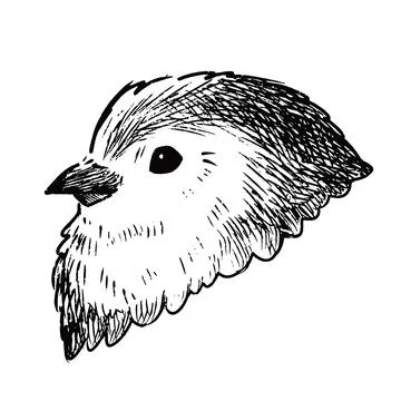 Simple and adorable Long-tailed tit head illustration with outlines vintage Stock Illustration