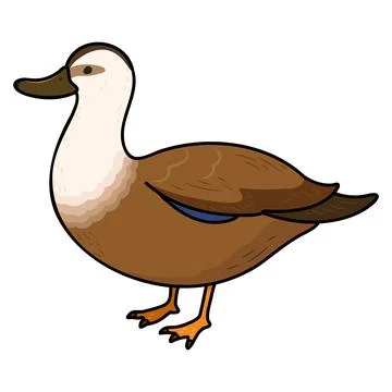 Simple and adorable outlined Brown Duck illustration Stock Illustration