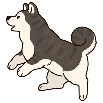 Simple and adorable outlined dark colored Akita Dog jumping and playing Stock Illustration