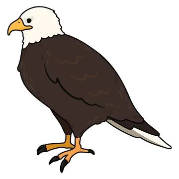 Simple and adorable outlined Eagle illustration Stock Illustration