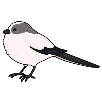 Simple and adorable outlined Long-tailed tit illustration Stock Illustration