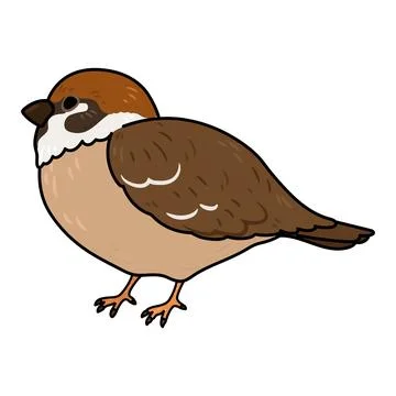 Simple and adorable outlined Sparrow illustration Stock Illustration