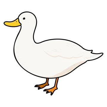Simple and adorable outlined White Duck illustration 库存插图