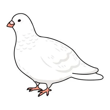 Simple and adorable outlined white Dove illustration Stock Illustration