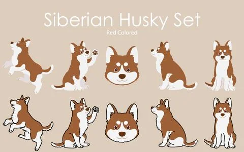 Simple and adorable red colored Siberian Husky dog illustrations set Stock Illustration