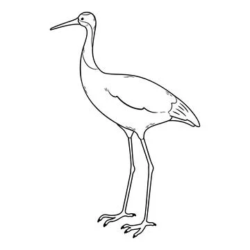 Simple and adorable Red-crowned crane illustration with outlines only Stock Illustration