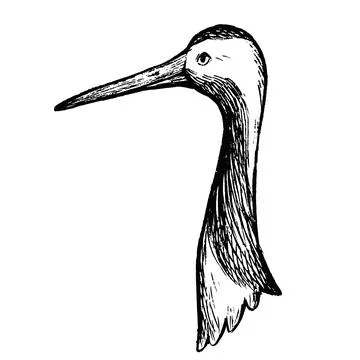 Simple and adorable Red-crowned crane head illustration with outlines vintage Stock Illustration