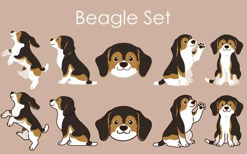 Simple and adorable sable colored Beagle illustrations set Stock Illustration