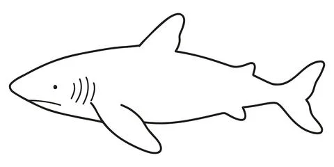 Simple and adorable shark line art illustration Stock Illustration