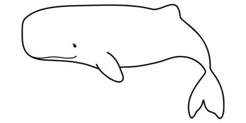 Simple and adorable Sperm Whale line art illustration Иллюстрация