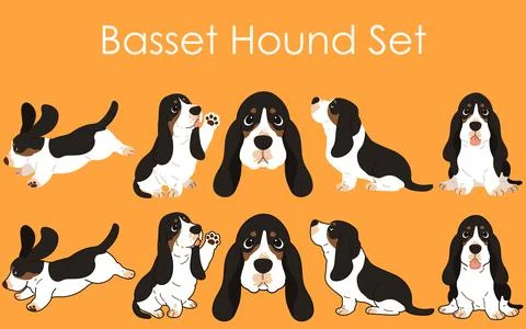 Simple and adorable Tri-Colored Basset Hound illustrations set Stock Illustration