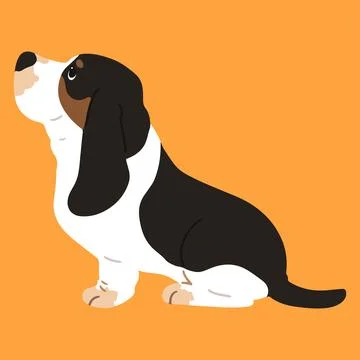 Simple and adorable Tri-Colored Basset Hound illustration sitting in side Stock Illustration
