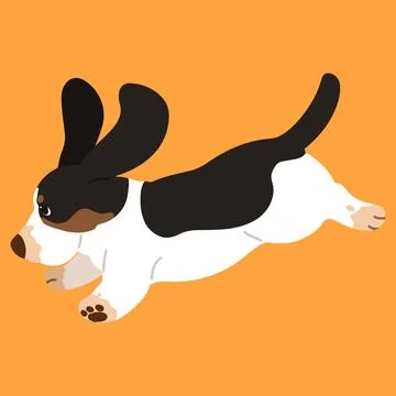 Simple and adorable Tri-Colored Basset Hound illustration jump Stock Illustration