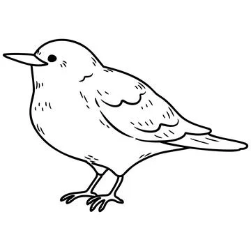 Simple and adorable Warbling white-eye illustration with only outlines Stock Illustration