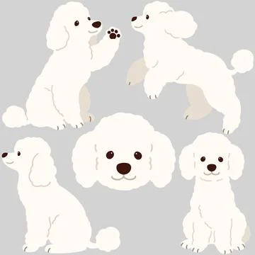 Simple and adorable white colored Poodle dog illustrations flat colored Stock Illustration