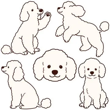 Simple and adorable white colored Poodle dog illustrations Stock Illustration