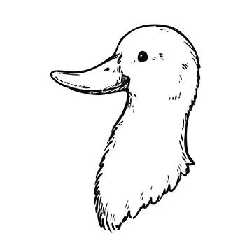 Simple and adorable White Duck head illustration with only outlines Stock Illustration