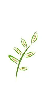 Simple and aesthetic hand drawn leaf illustration. Stock Illustration