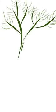 Simple and aesthetic hand drawn leaf illustration. Stock Illustration