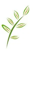 Simple and aesthetic hand drawn leaf illustration. Stock Illustration