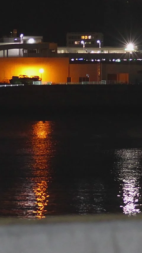 Simple and beautiful timelapse night view along a river in Japan,Vertical,2x Stock Footage 346622259