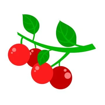 A simple and colorful vector illustration of three red cherries on a stem Stock Illustration