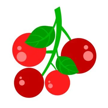 A simple and colorful vector illustration of three red cherries on a stem Stock Illustration