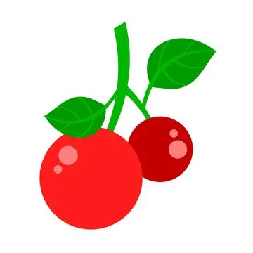 A simple and colorful vector illustration of three red cherries on a stem Stock Illustration