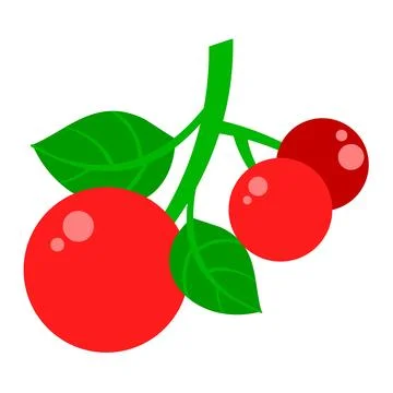 A simple and colorful vector illustration of three red cherries Stock Illustration