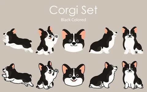 Simple and cute black colored Corgi dog illustrations set Stock Illustration
