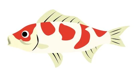 Simple and cute Carp (Koi) illustration. Japanese fish vector material. Stock Illustration