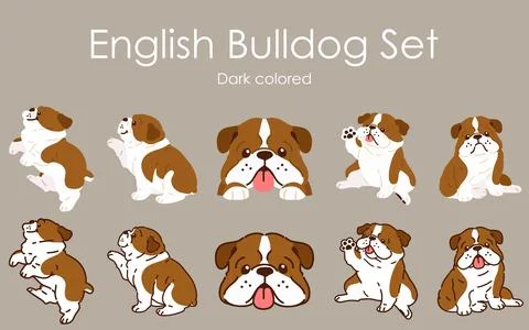 Simple and cute dark colored English Bulldog illustrations set Stock Illustration