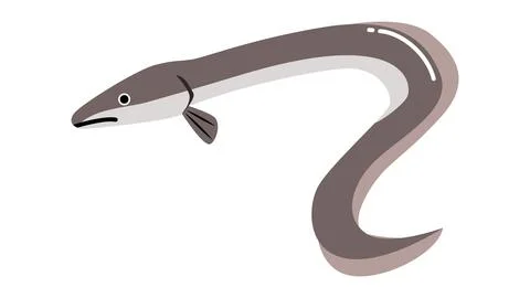 Simple and cute eel illustration.  Food and fish vector material. Illustrazione stock