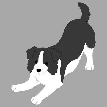 Simple and cute flat colored illustration of Border Collie being playful Stock Illustration