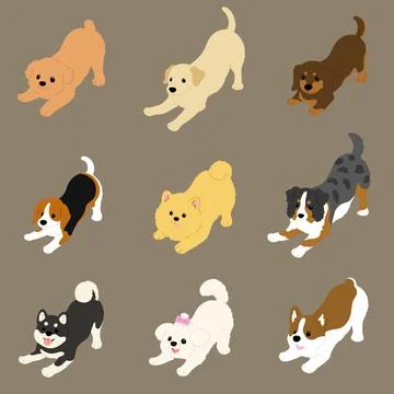 Simple and cute flat colored illustration of dogs being playful Stock Illustration