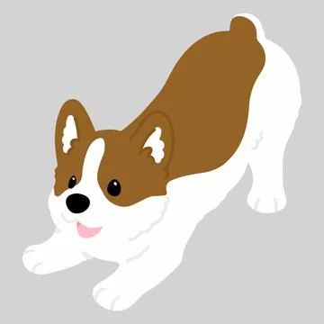 Simple and cute flat colored illustration of Corgi being playful Stock Illustration